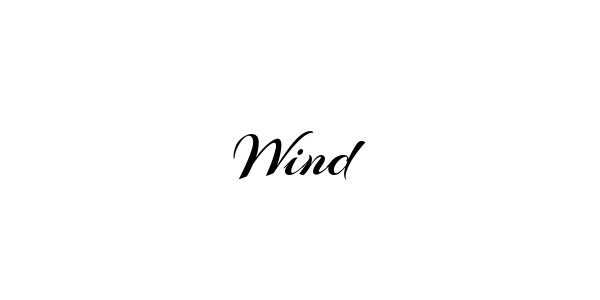 Signature Style Wind